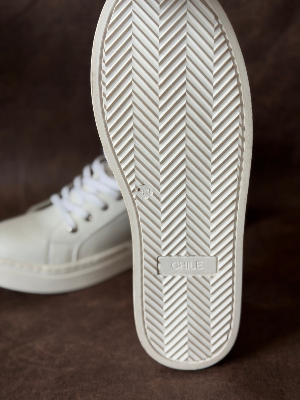 Zapatilla Erasmus Blanca